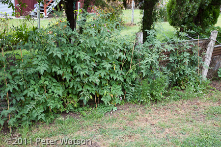 Australia - Chris and Claire