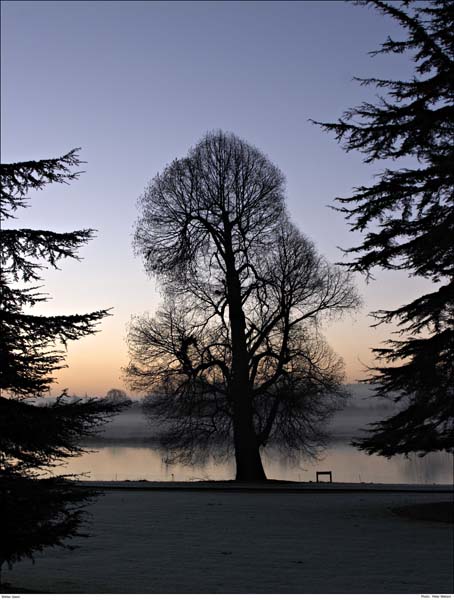 113_1397 Winter Dawn