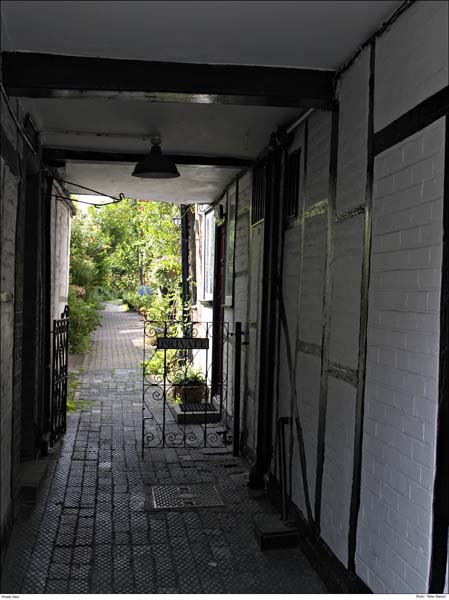 CRW_2855 Private View